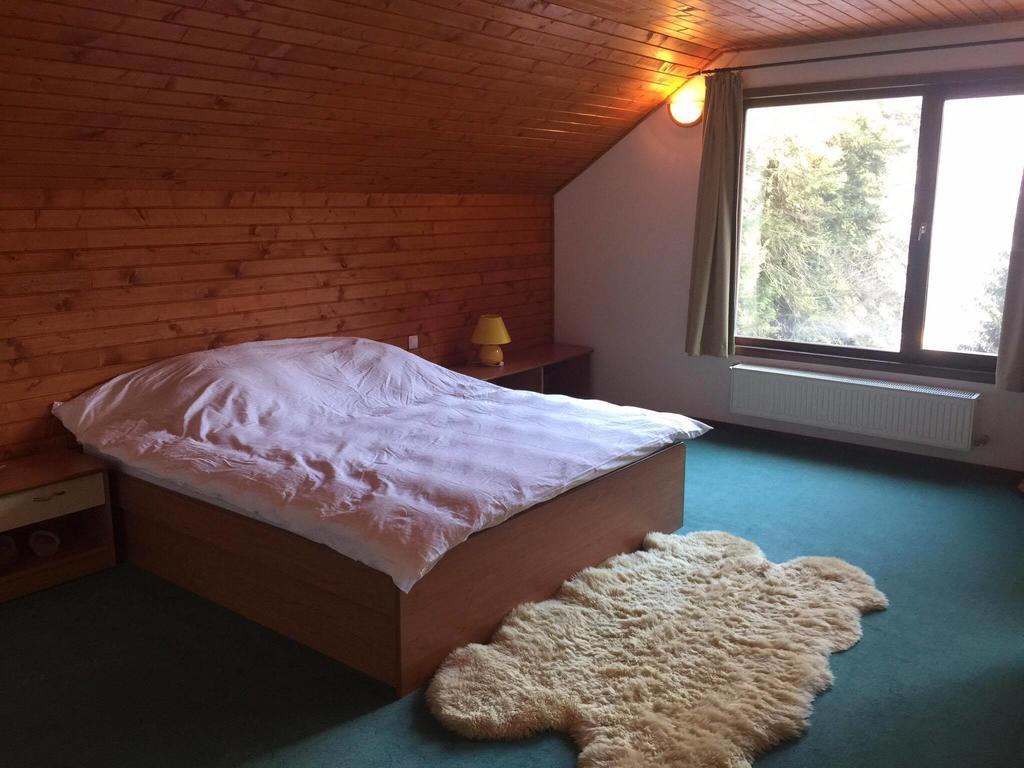 Villa Mara Sinaia Eksteriør billede