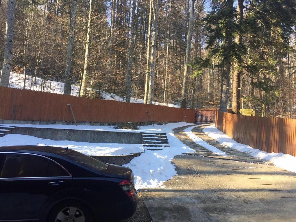 Villa Mara Sinaia Eksteriør billede
