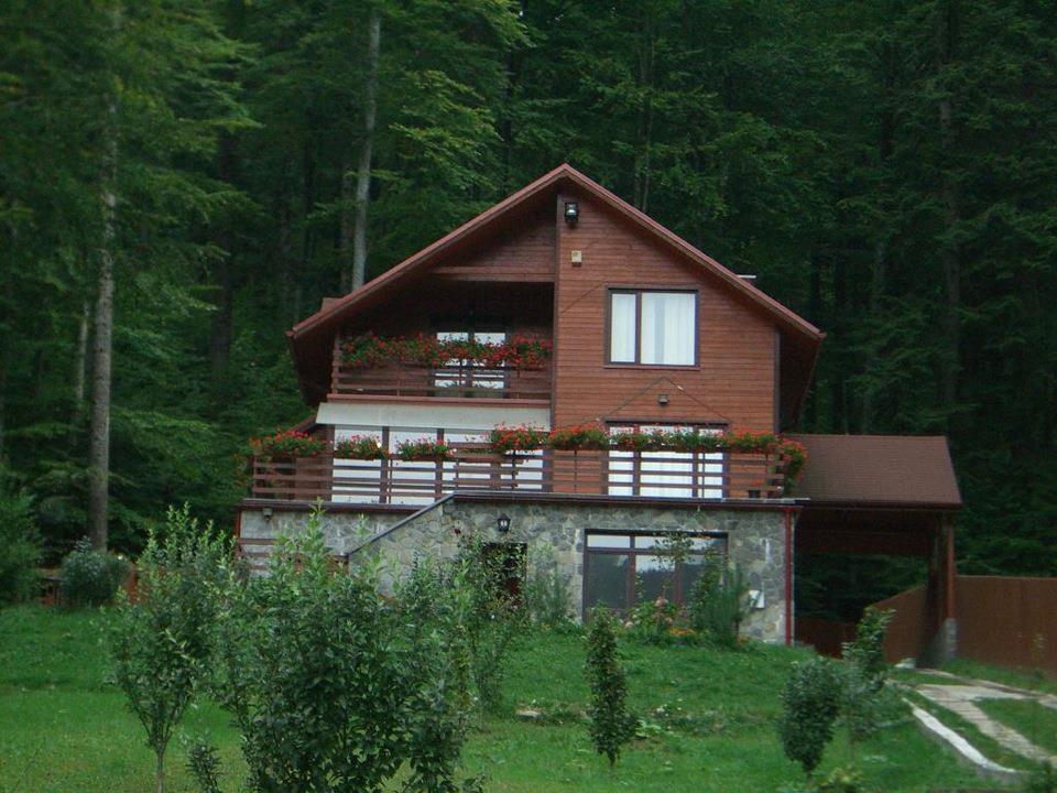 Villa Mara Sinaia Eksteriør billede