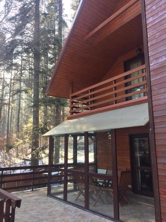 Villa Mara Sinaia Eksteriør billede